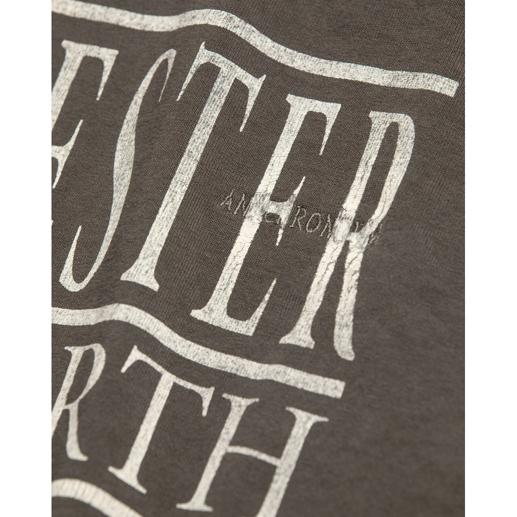 ANACHRONORM  AN378 SOUVENIR L/S T-S