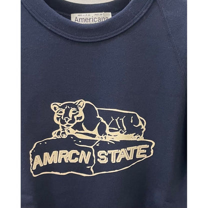 Americana BRF-800A/2