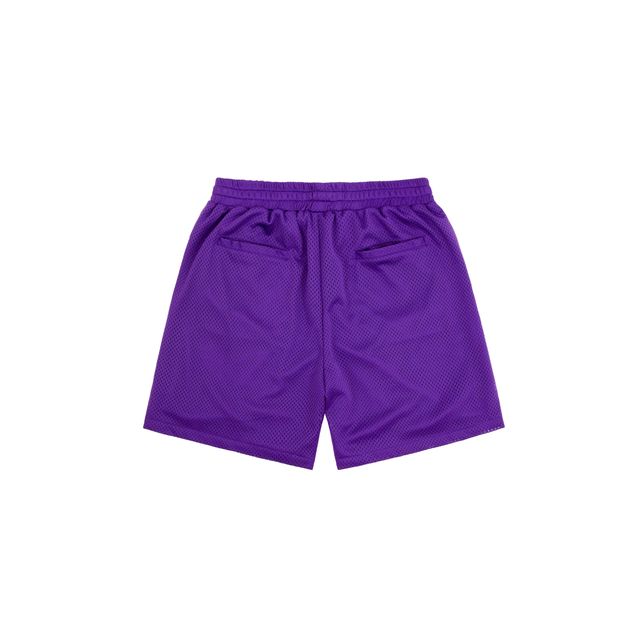 VANDY THE PINK VTP® Mesh Shorts