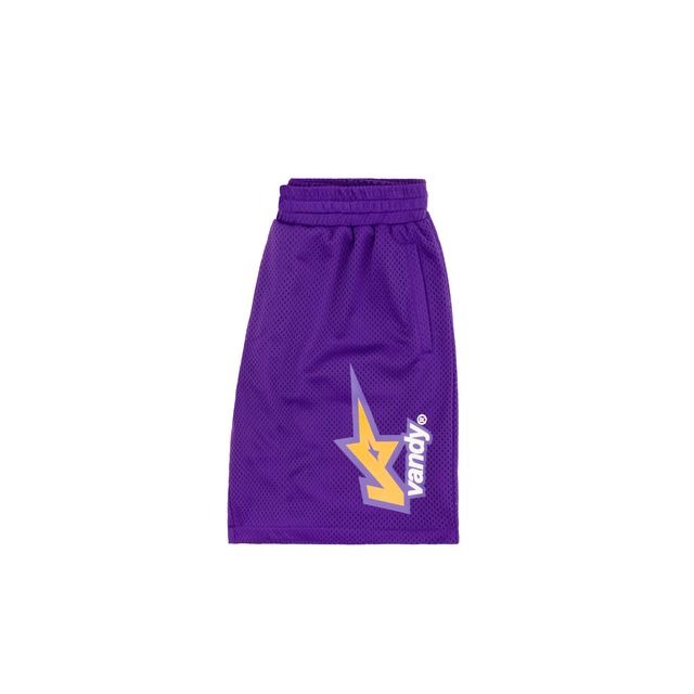 VANDY THE PINK VTP® Mesh Shorts